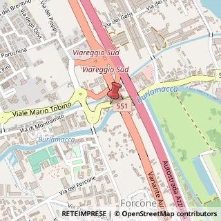 Mappa Via di Montramito, 156, 55049 Viareggio, Lucca (Toscana)