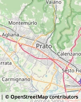 Articoli per Ortopedia Montemurlo,59013Prato