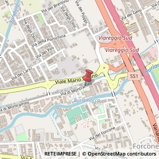 Mappa Via di montramito 273, 55049 Viareggio, Lucca (Toscana)
