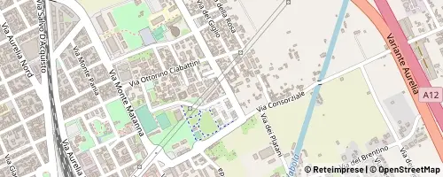 Mappa Viareggio