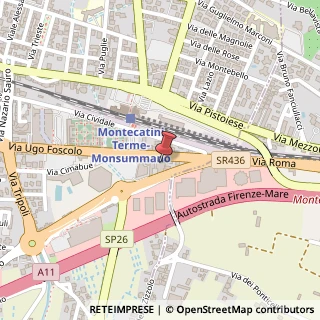 Mappa Viale Ugo Foscolo, 44, 51016 Montecatini Terme, Pistoia (Toscana)