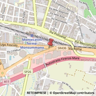 Mappa Viale Ugo Foscolo, 62, 51016 Calenzano, Firenze (Toscana)