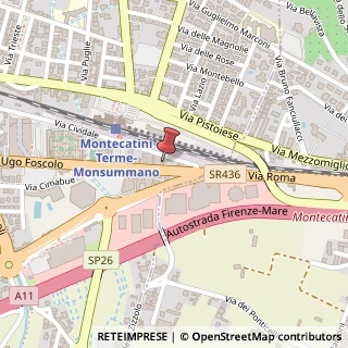 Mappa Viale Ugo Foscolo, 21, 51016 Montecatini Terme, Pistoia (Toscana)