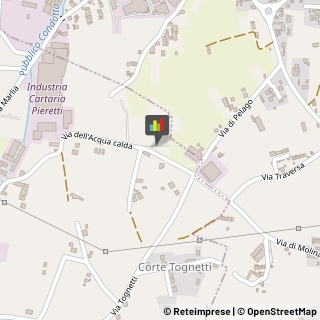 Feste - Organizzazione e Servizi Capannori,55100Lucca