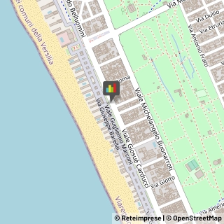 Calzature - Dettaglio Viareggio,55049Lucca