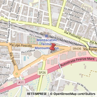 Mappa Via Giovanni Gentile, 19, 51016 Empoli, Firenze (Toscana)