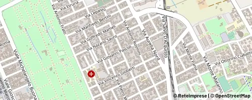 Mappa Viareggio