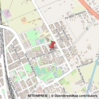 Mappa Via Ottorino Ciabattini, 91, 55049 Viareggio, Lucca (Toscana)