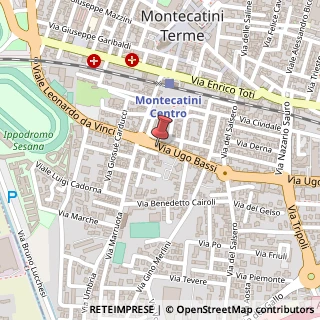 Mappa Via Ugo Bassi, 24, 51016 Altopascio, Lucca (Toscana)