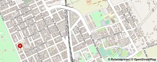 Mappa Viareggio