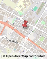 Via Mantova, 31,59100Prato