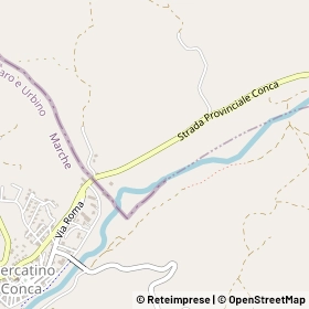 Mappa 61013