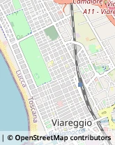 Amministrazioni Immobiliari Viareggio,55049Lucca