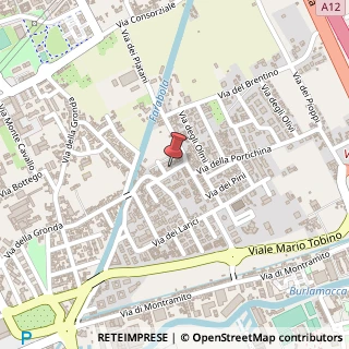 Mappa Via della Portichina, 27/A, 55049 Viareggio, Lucca (Toscana)