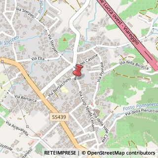 Mappa Via Luigi Spada Cenami, 100, 55054 Massarosa, Lucca (Toscana)