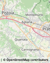 Trasportatori Meccanici Pistoia,51100Pistoia