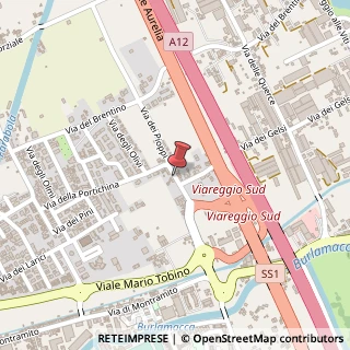 Mappa Via dei Pioppi, 35, 55049 Viareggio, Lucca (Toscana)