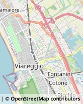 Comuni e Servizi Comunali Viareggio,55049Lucca