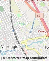 Comuni e Servizi Comunali Viareggio,55049Lucca