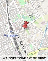 Via Monte Sagro, 8,55049Viareggio