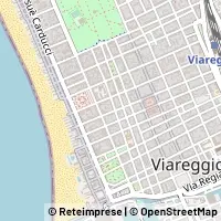 Kart Viareggio