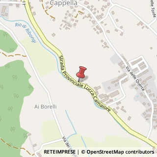 Mappa Via per Camaiore, 3566, 55060 Lucca, Lucca (Toscana)