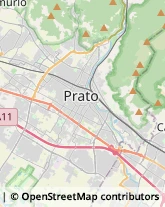 Istituti di Bellezza Prato,59100Prato