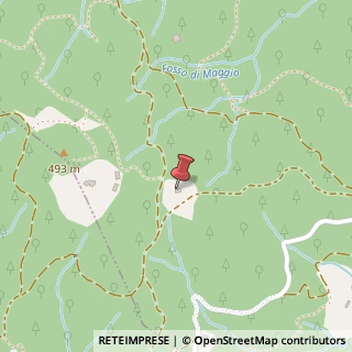 Mappa Via Cavoli, 312, 51034 Monsummano Terme, Pistoia (Toscana)