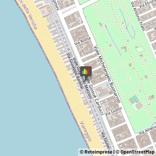 Camicie Viareggio,55049Lucca