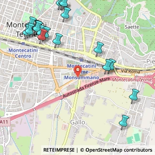 Mappa Via Giovanni Gentile, 51016 Montecatini Terme PT, Italia (0.783)