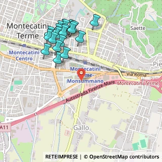 Mappa Via Giovanni Gentile, 51016 Montecatini Terme PT, Italia (0.595)