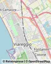 Frutta e Verdura - Dettaglio Viareggio,55049Lucca