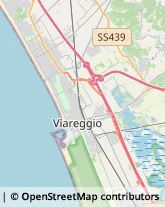 Frutta e Verdura - Dettaglio Viareggio,55049Lucca