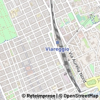 Kart Viareggio