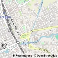 Kart Viareggio