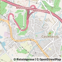Map Massarosa