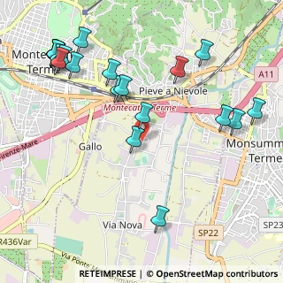 Mappa Via Renato Fucini, 51018 Pieve A Nievole PT, Italia (1.3335)