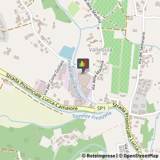 Trasporti con Containers,55100Lucca