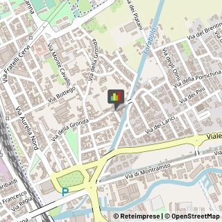 Palestre e Centri Fitness,55049Lucca