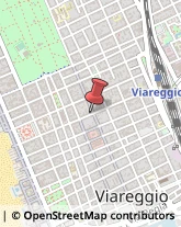 Via Giuseppe Mazzini, 144,55049Viareggio