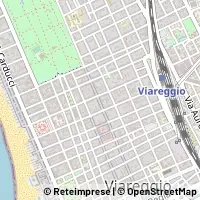 Kart Viareggio