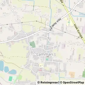 Mappa 55013