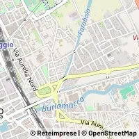 Map Viareggio