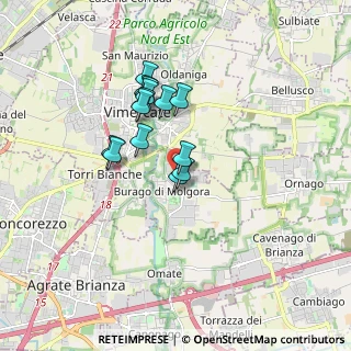 Mappa Via Dante Alighieri, 20875 Burago di Molgora MB, Italia (1.33286)
