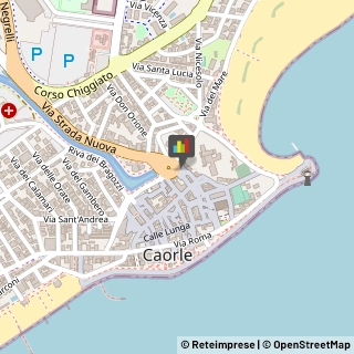 Autotrasporti,30021Venezia