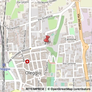 Mappa Viale Niccol? Paganini, 17, 28047 Oleggio, Novara (Piemonte)