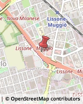 Viale Vallassina, 170/A,20851Lissone