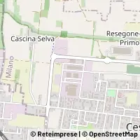 Map Cesate