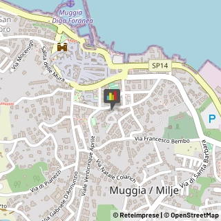 Odontoiatri e Dentisti - Medici Chirurghi Muggia,34015Trieste