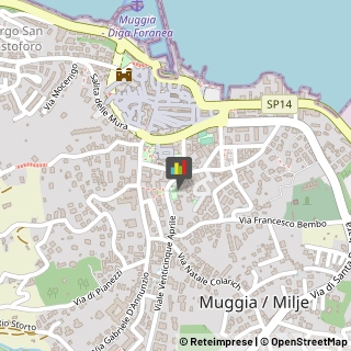 Palestre e Centri Fitness Muggia,34015Trieste